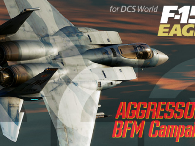 F-15C Aggressors BFM Campaign