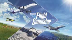 Microsoft flight simulator