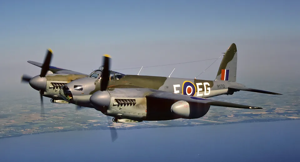 mosquito_202403210832